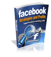 Facebook Strategies And Profits