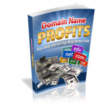 Domain Name Profits